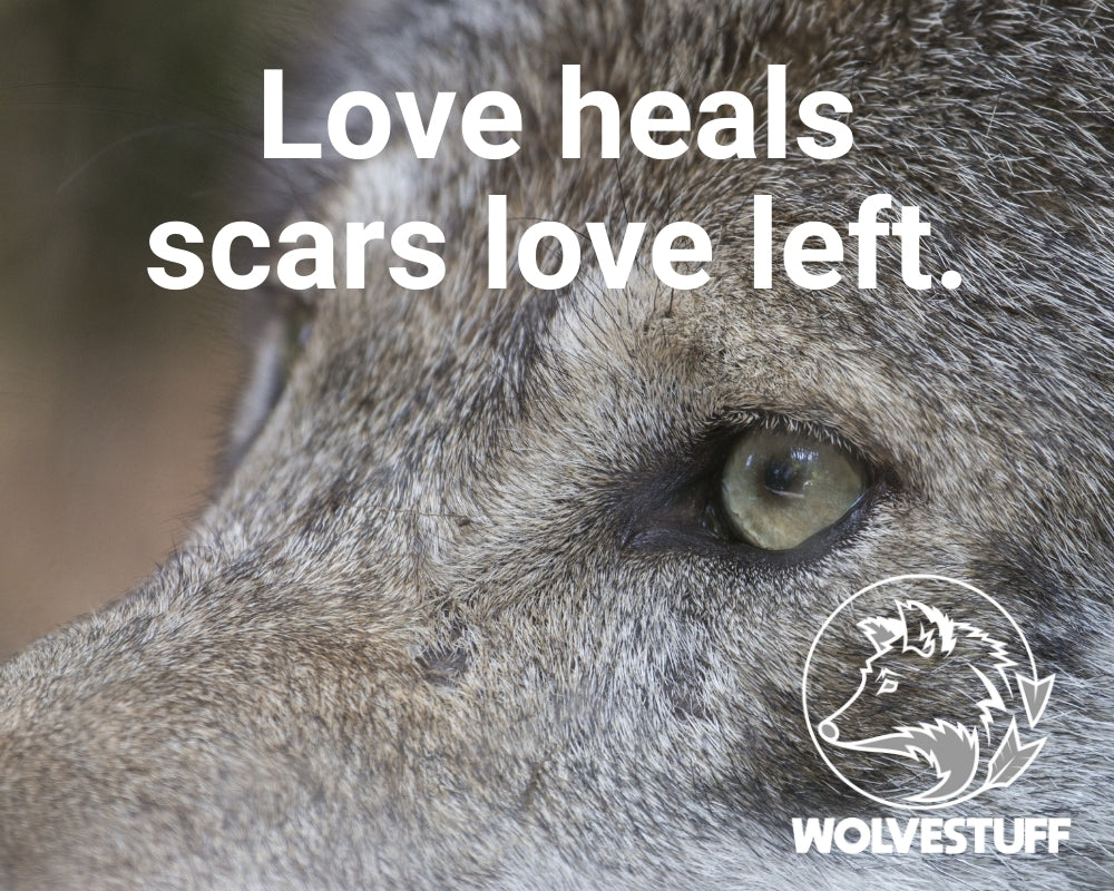 vitelpharma quote of "love heals scars love left" in white writing with a grey wolf in the background with a vitelpharma logo